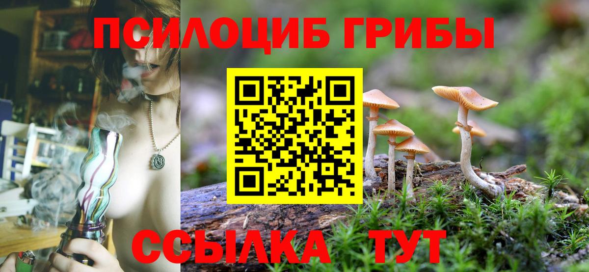 Тихорецк  Галлюциногенные грибы мухоморы  Вход с VPN 